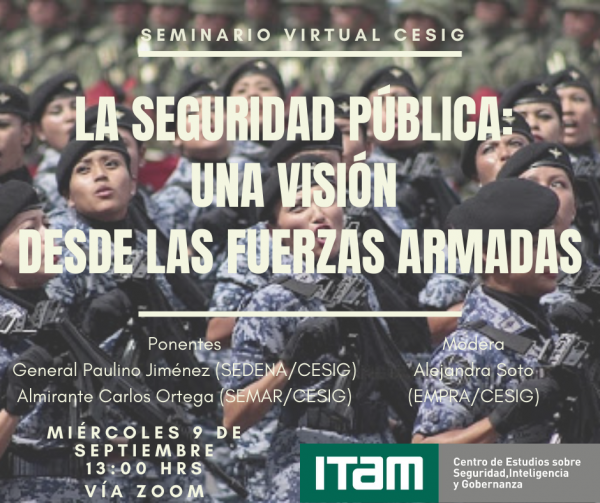 Póster La seguridad pública: una visión desde las fuerzas armadas