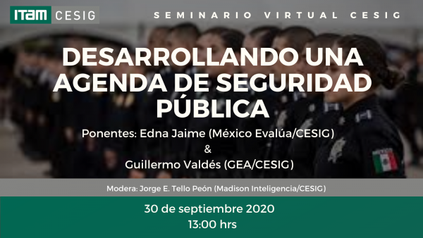 Póster Desarrollando una agenda de seguridad pública